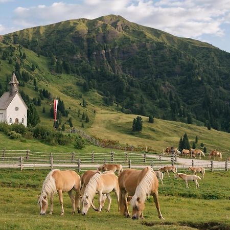 Zallinger Dolomites Alpe Di Siusi Bagian luar foto