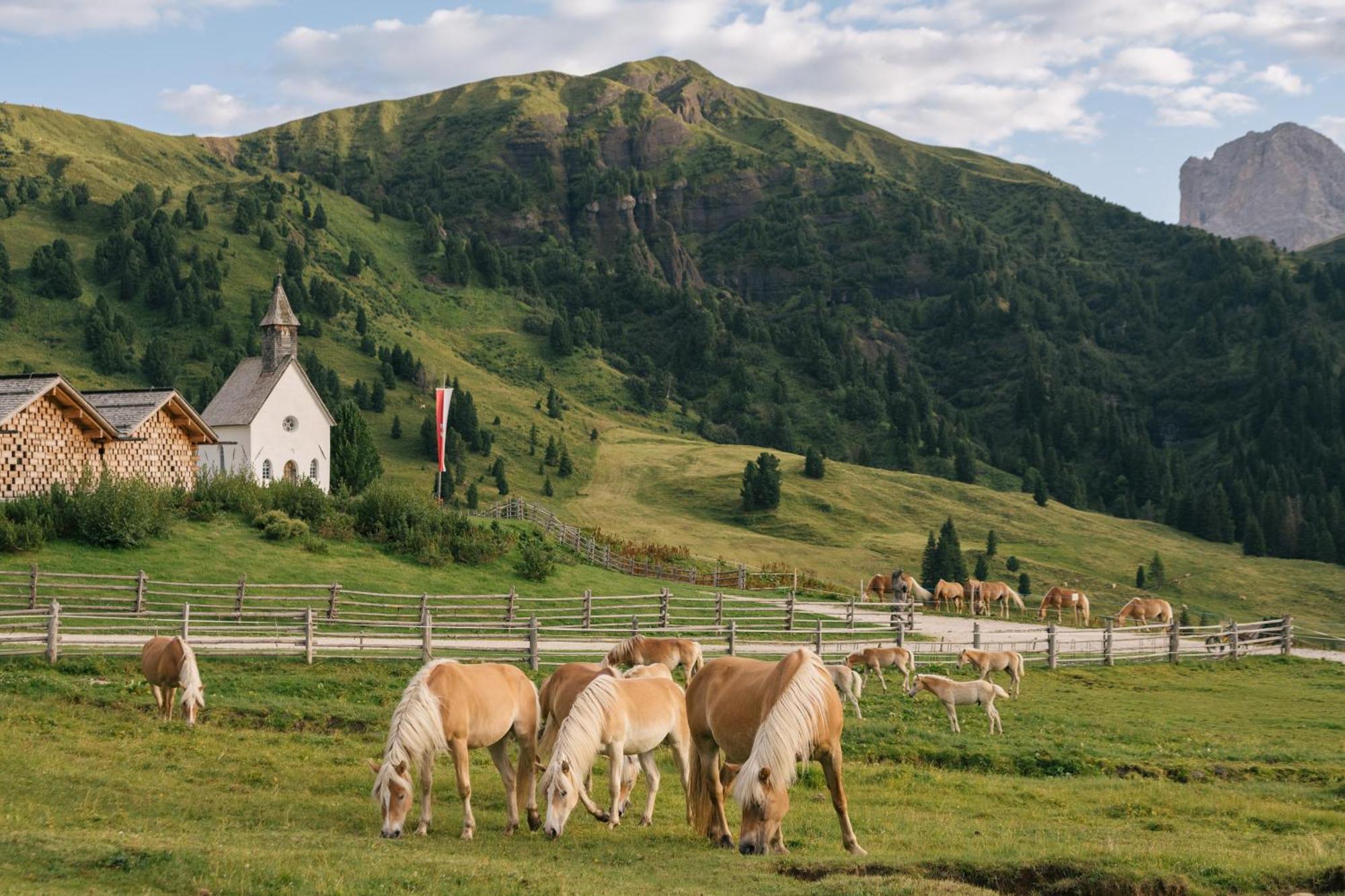 Zallinger Dolomites Alpe Di Siusi Bagian luar foto